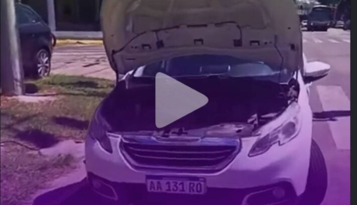 Mecánico opina sobre las medidas de Javier Milei