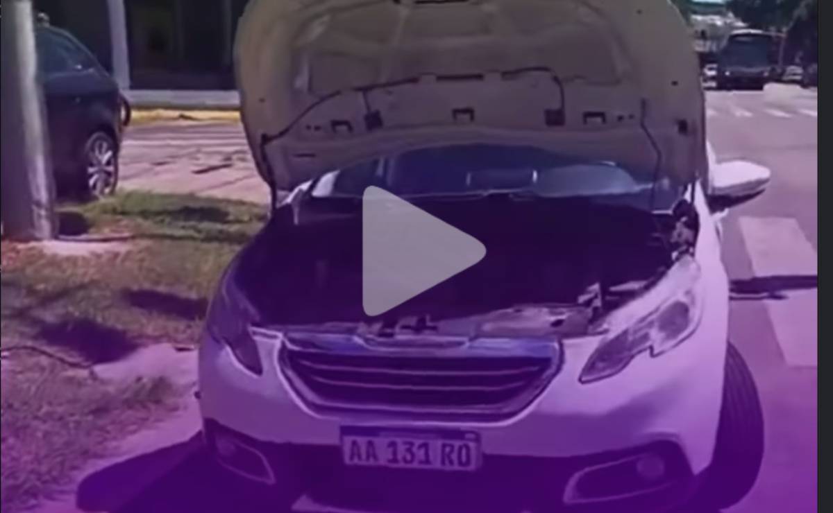 Mecánico opina sobre las medidas de Javier Milei