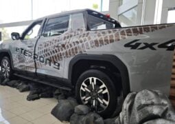 Pick up Maxus e Terron 9 perfil