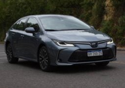Toyota Corolla SEG hibrido consumo