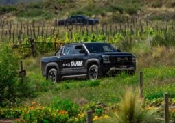 BYD Shark pick up
