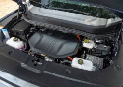 Pick up BYD Shark motor 3
