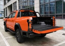 Pick up RELY R8 caja