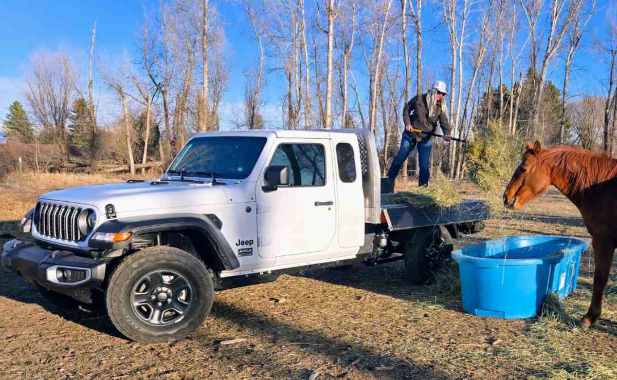 Sin lujos y con más carga: la pick up que Jeep no se animó a fabricar 7 Jeep Gladiator Acela Dispatcher 4x4