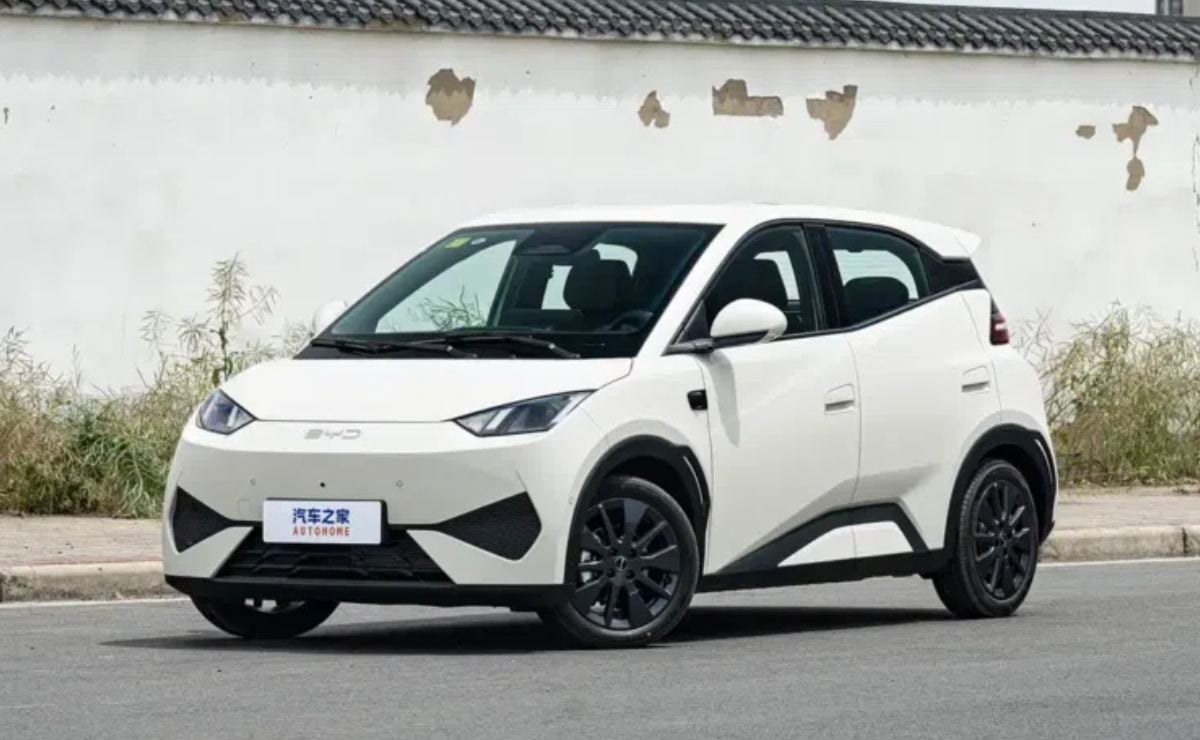 byd dolphin mini 1
