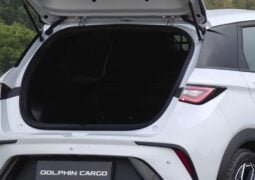 byd dolphyn cargo e van