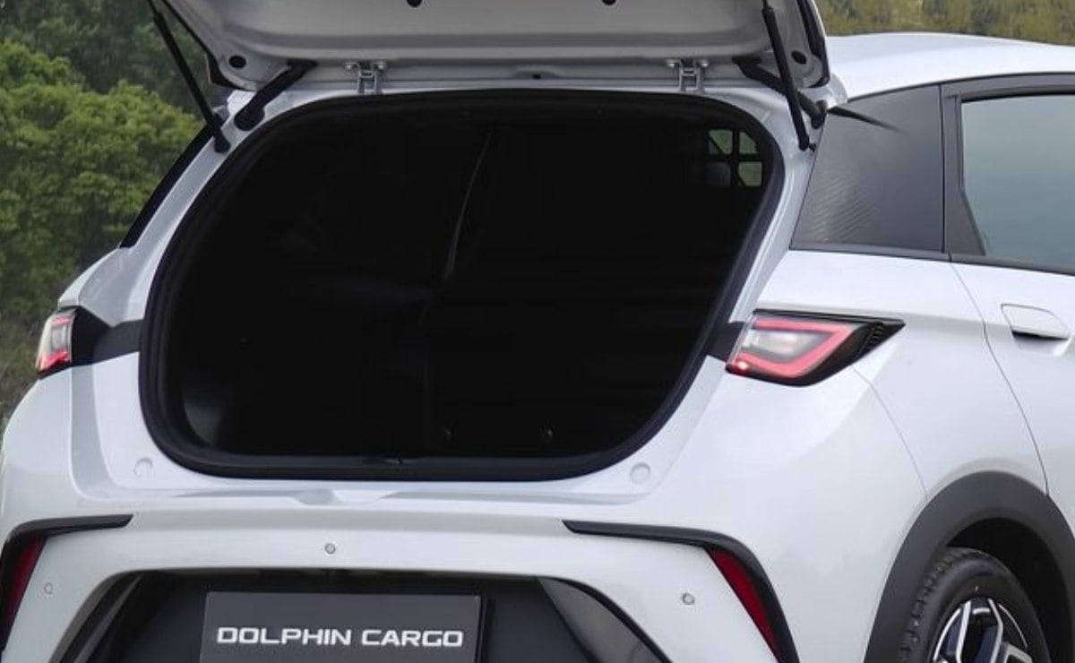 byd dolphyn cargo e van