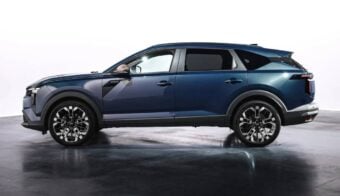 Familiar Dacia Striker perfil
