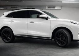 SUV Forthing Friday Reev perfil