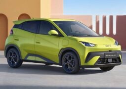 autos electricos en arg