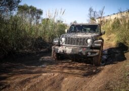 Jeep Wrangler Prueba (9)