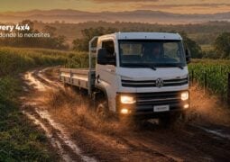 Volkswagen Camiones y Buses Delivery 4x4