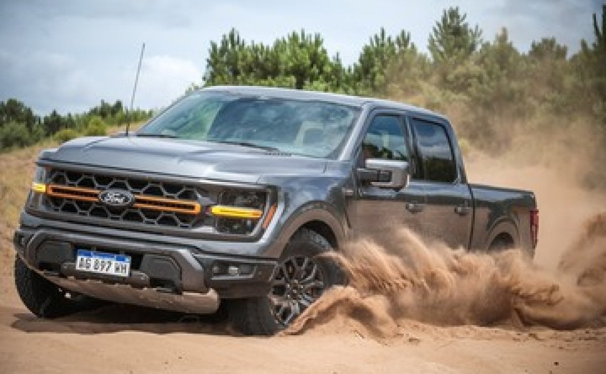 ford f 1501