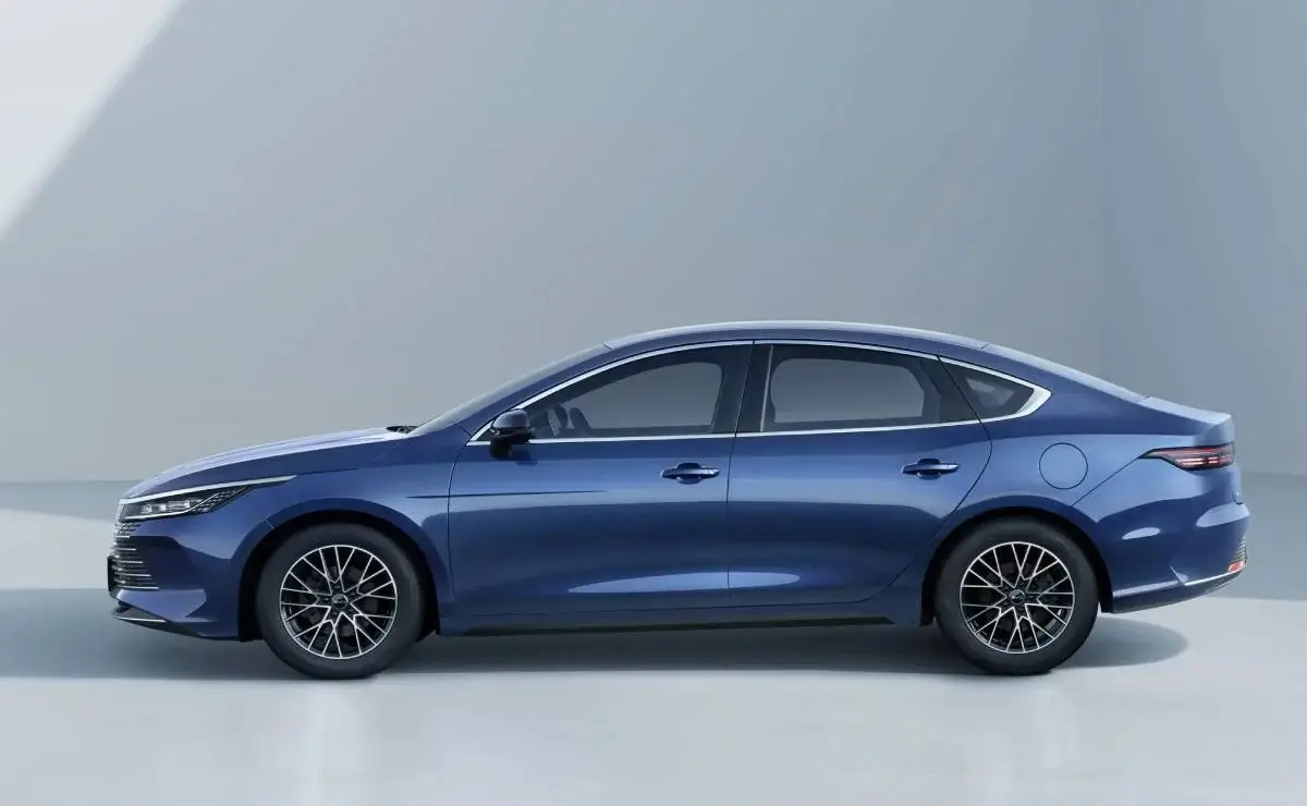 BYD King perfil
