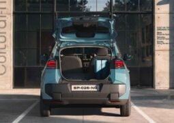 Dacia Spring (4)