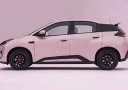 Nuevo BYD Dolphin Mini perfil