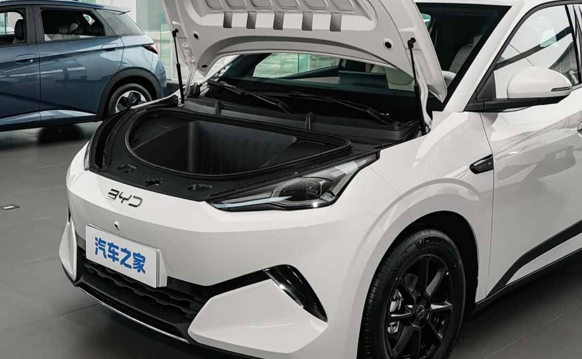 BYD Dolphin Mini 2028 baul
