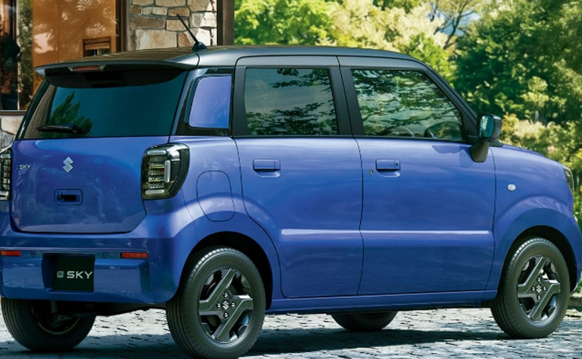 suzuki e sky1